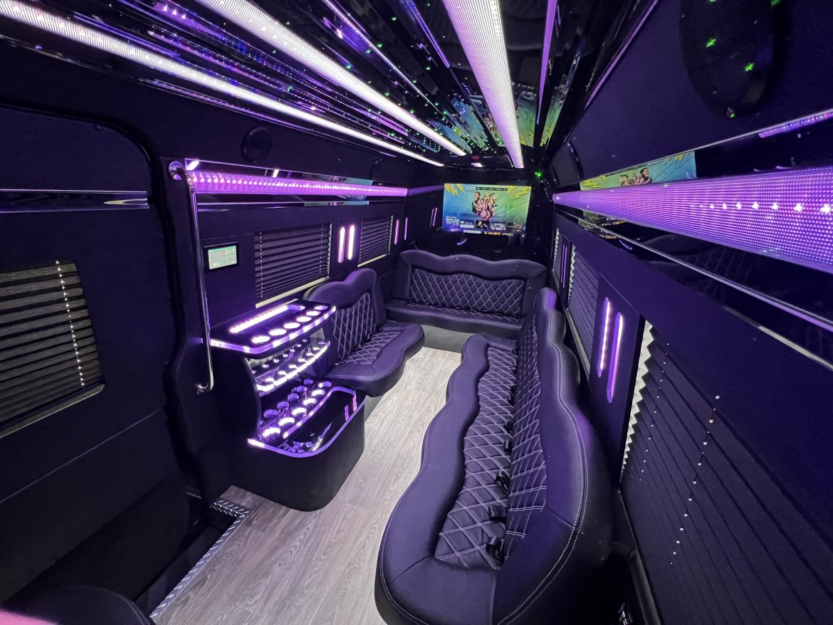 Mercedes Sprinter Party Bus Houston